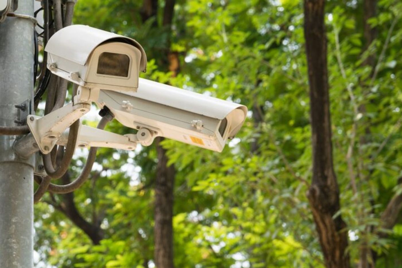 IP Cameras